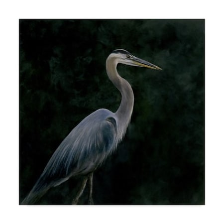 Trademark Fine Art John Morrow 'Night Stalker ' Canvas Art, 14x14 ALI21253-C1414GG